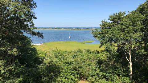 Spectacular views of Lake Tashmoo & Vineyard Sound from upper & lower levels.