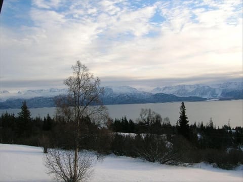 View of head of Kachemak Bay in winter