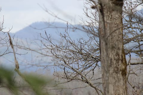 Mountain view from the cabin in April