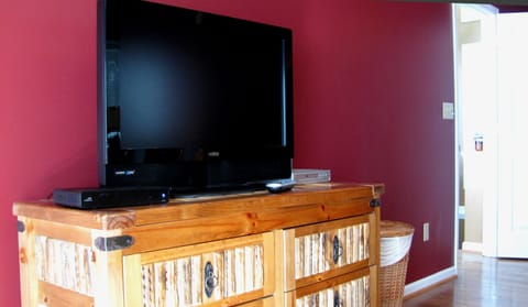 Smart TV, fireplace, DVD player, video library