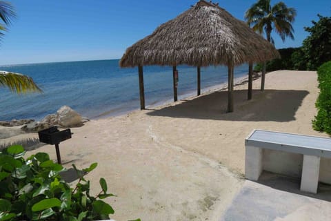 On the beach, sun loungers, beach towels