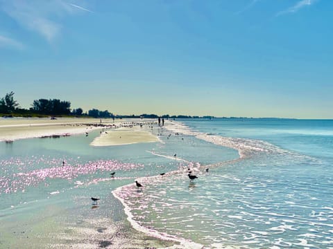 On the beach, sun loungers, beach towels