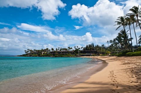 Beautiful Napili Bay Beach 200 steps from your front door!
