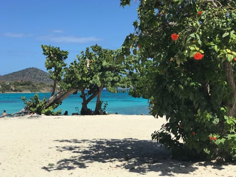 On the beach, sun loungers, beach towels