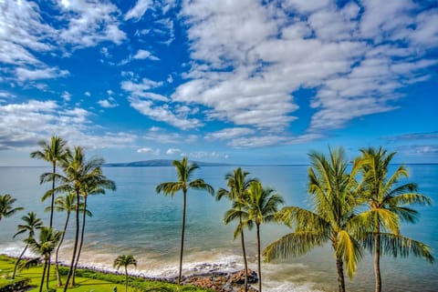 On the beach, sun loungers, beach towels