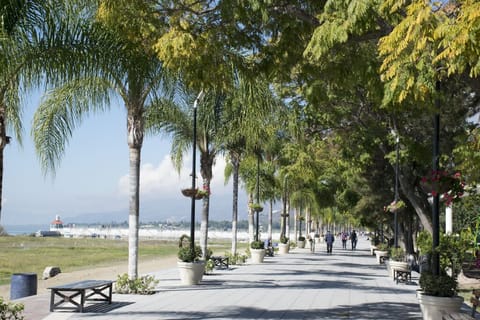 Walking Beside Lake Chapala
