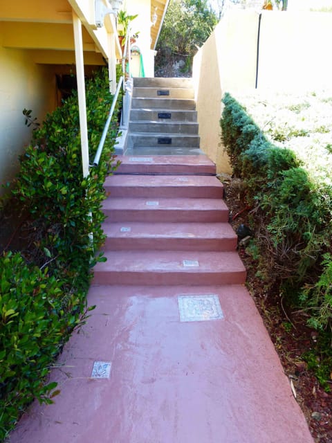 Stairs Leading From Driveway Down to 1st Level Entry