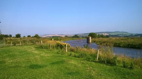 River Teviot - Nesbit