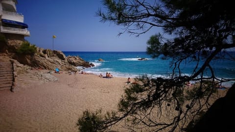 Beach nearby, sun loungers