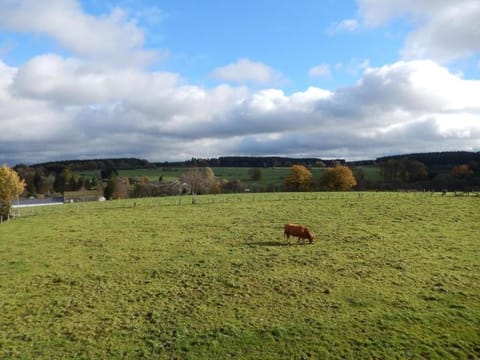 Region [summer] (>5 km)