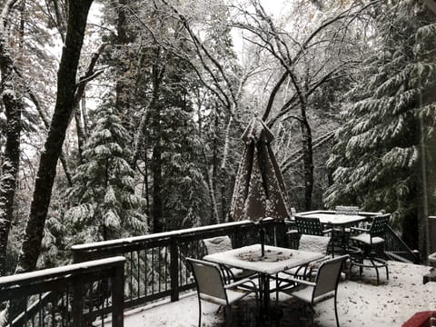 a beautiful dusting of snow in our backyard a few winters ago