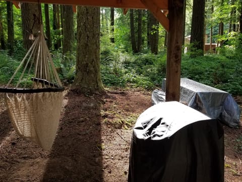 backyard (1/3 acre) with two hammocks, picnic table, grill