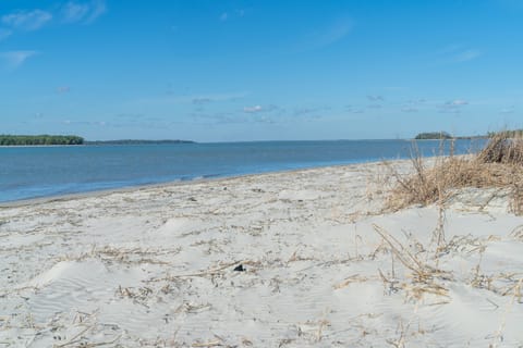 On the beach