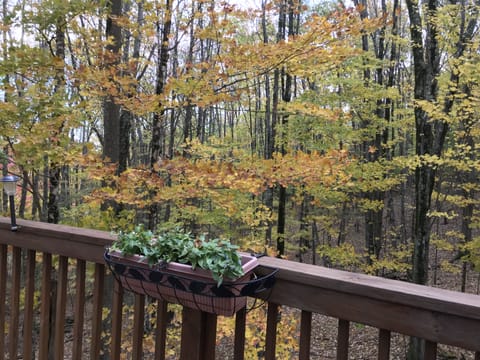 Fall colors seem from the deck. 