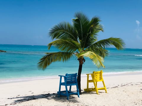 Sun loungers, beach umbrellas, beach towels