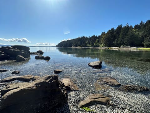 Our beach consists of large flat shale rock, and small gravel.