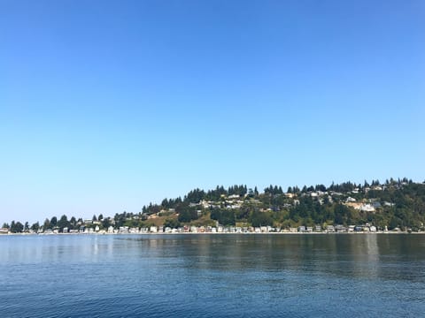 View of Three Tree Point from the water
