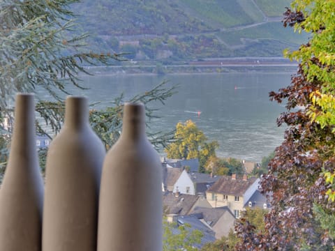Stylish villa with a unique view of the Rhine in the World Heritage Middle Rhine House in Boppard