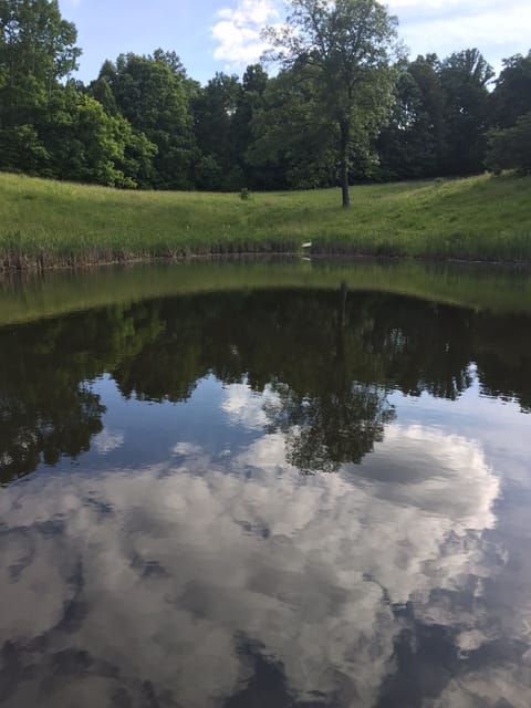 A freshwater pond 