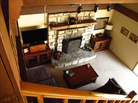 TV, fireplace, DVD player, books