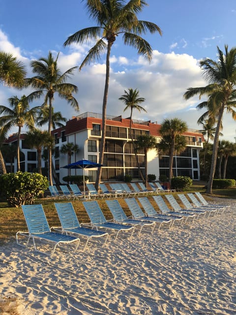 New Beach lounges waiting for your arrival.