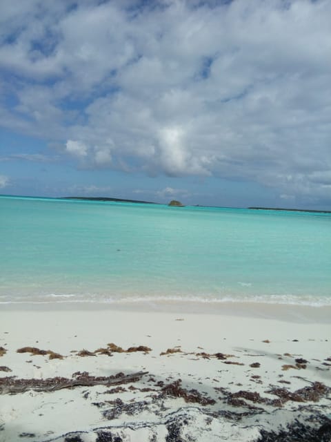 Sun loungers, beach towels