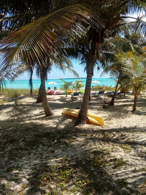 Sun loungers, beach towels