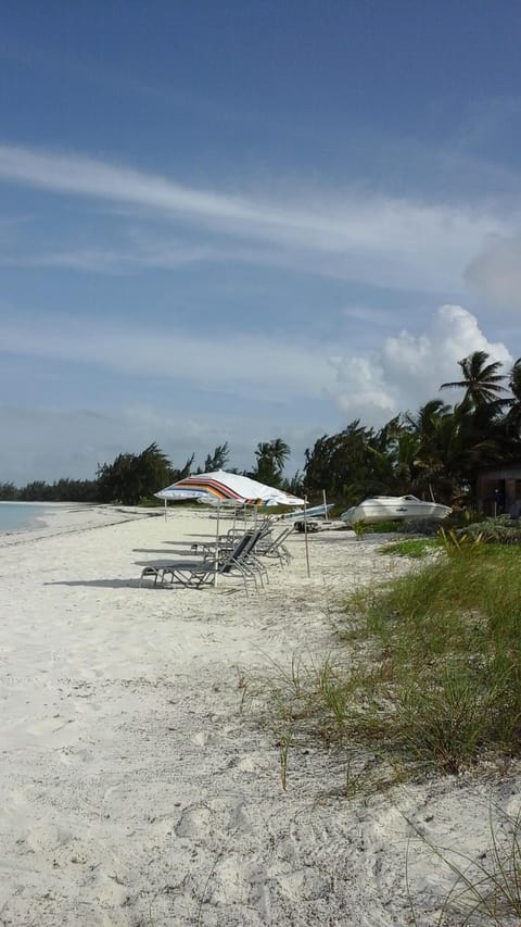 Sun loungers, beach towels