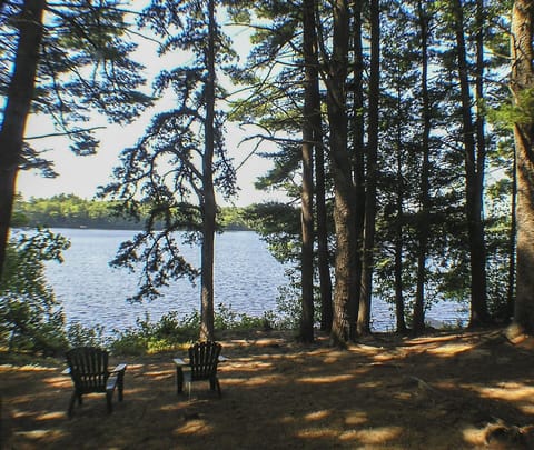 View from cabin, with dock to right