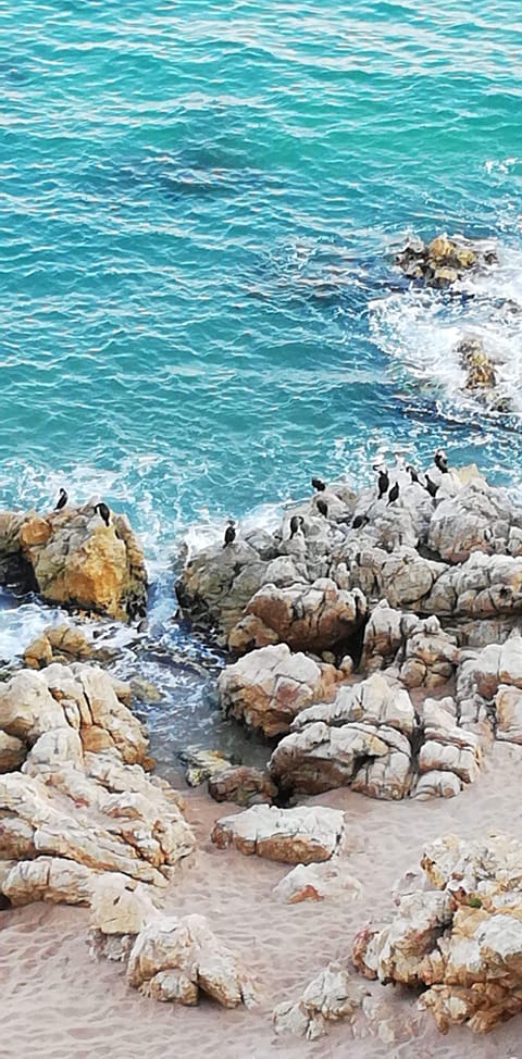 On the beach, sun loungers, beach towels