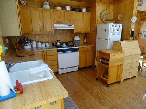 Fridge, oven, stovetop, coffee/tea maker