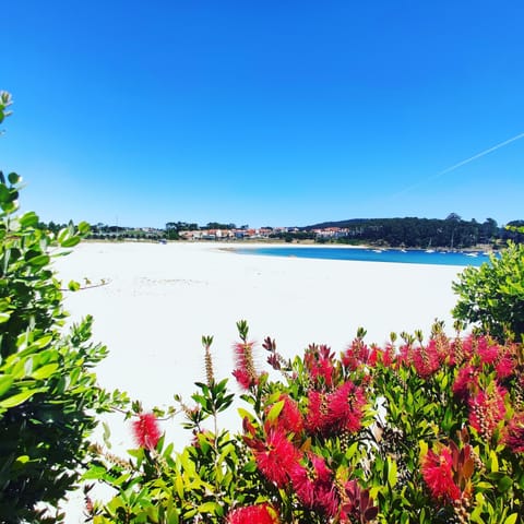 Beach nearby, sun loungers