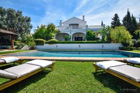 Outdoor pool, a heated pool, sun loungers