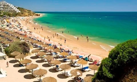 Beach nearby, sun loungers