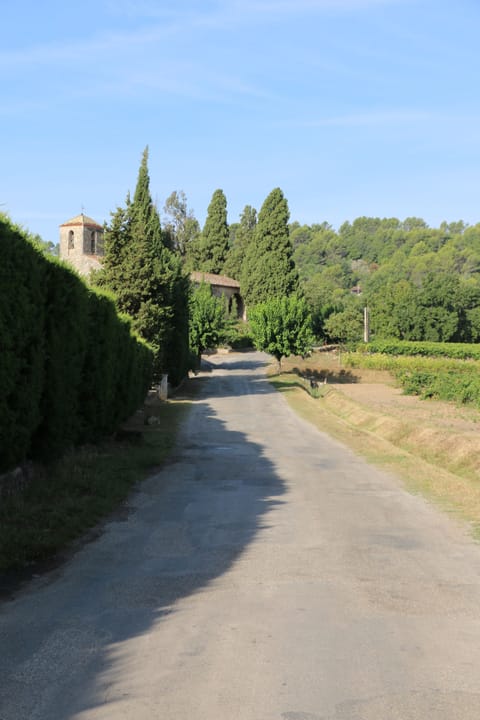 Vineyard and 1000 year old chapel less than 5 minute walk up the road