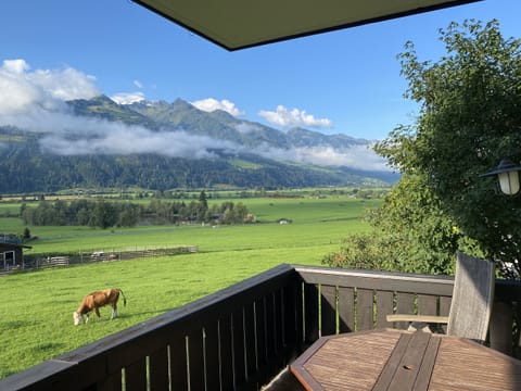 Mountain view, apartment, Kaprun, skiing, summer, Alps