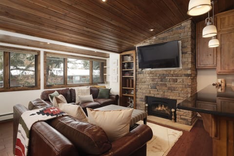 TV, fireplace, music library, video library