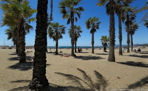 On the beach