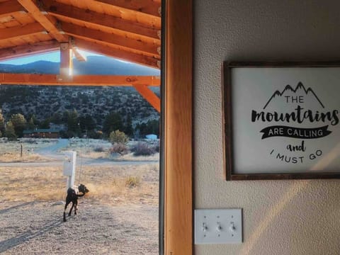 Pup friendly! With fenced in backyard.