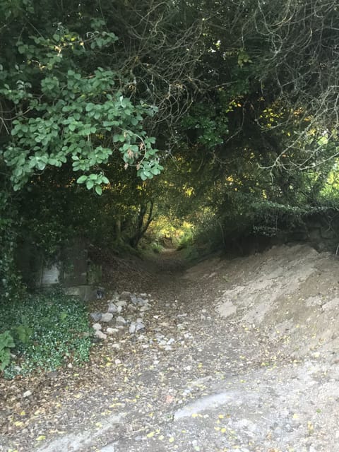 The path to the moor, outside the cottage front door 