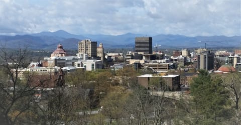 Lovey view of both downtown Asheville & the Blue Ridge Mountains from main deck