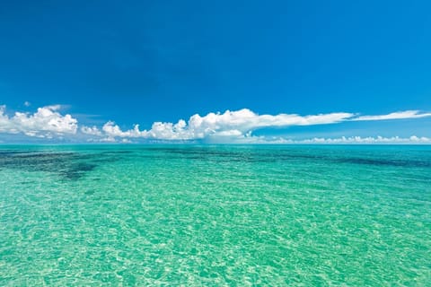 Beach nearby, sun loungers, beach towels