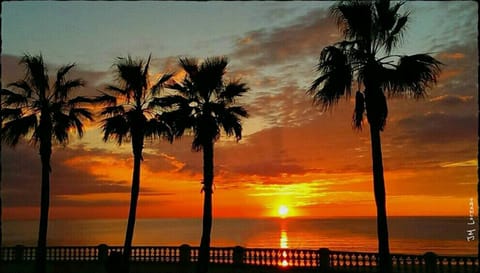 Beach/ocean view