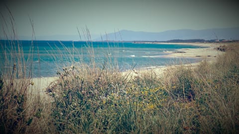 Beach nearby, sun loungers, beach towels