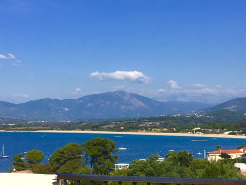 Beach/ocean view