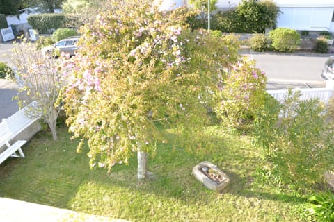 View from one bedroom