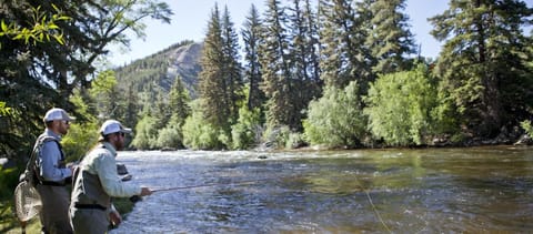 Great fly fishing on the Eagle river out your back door 5 min walk