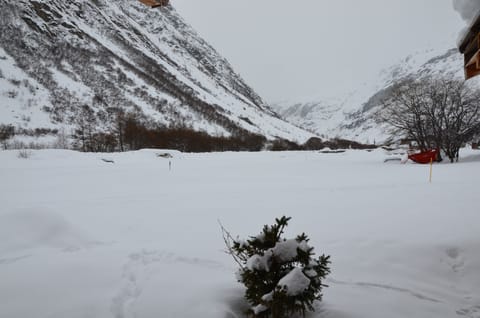 Snow and ski sports