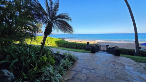 On the beach, sun loungers, beach towels