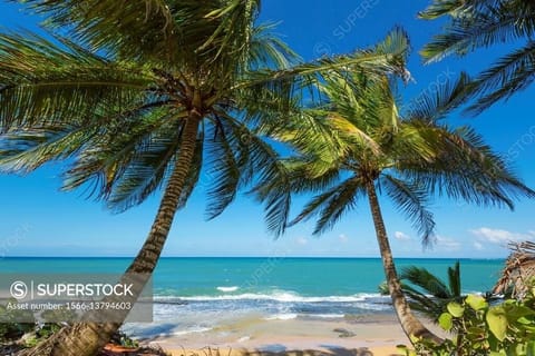 On the beach, sun loungers, beach towels